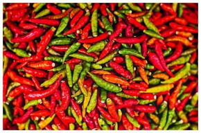 Pedas! Harga Cabai di Jatim Merangkak Naik Jelang Nataru