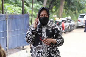 Video Mensos Risma Cek Logistik Bantuan untuk Korban Gempa Laut Flores