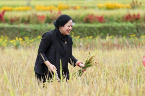 Puan Maharani Dijadwalkan Kunjungi Korban Erupsi Semeru di Pronojiwo