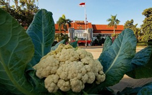 UMK Surabaya Naik 75 Ribu, Wawali: Warga Diharap Bahagia