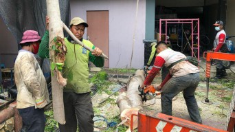 Tenyata Meja & Kursi di Halaman Rumah Dinas Wali Kota Surabaya Berasal dari Sini