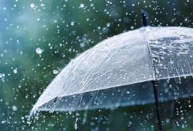 Siapkan Payung ! 19 Kota Diperkirakan Diguyur Hujan Hari Ini