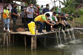 Pemkot Surabaya Tabur 7000 Benih Ikan Nila di Bozem Jemur Wonosari