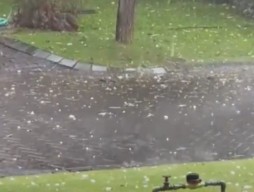 Begini Penjelasan BMKG Soal Fenomena Hujan Es di Surabaya