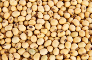 Begini Strategi Pemkot Surabaya Atasi Tingginya Harga Kedelai