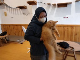 Libur Lebaran, Jasa Penitipan Hewan Peliharaan di Surabaya  Kebanjiran Order