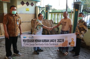 PDAM Surabaya Kurban Belasan Sapi dan Dibagikan ke Warga Wujud Sinergi BUMD