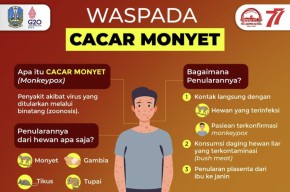 Kasus Cacar Monyet Nihil di Jatim, Gubernur Khofifah Tetap Minta Prokes