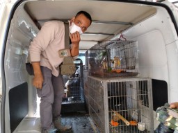 Polisi Bongkar Jaringan Perdagangan Satwa Dilindungi, 5 Tersangka Diamankan