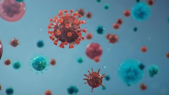 Omicron Varian Baru Masuk Indonesia, Satu Pasien Dirawat di Surabaya