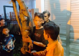 Begini Aksi Heroik Bocah Pemberani Gagalkan Penjambretan di Surabaya