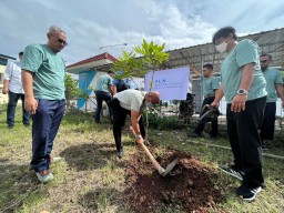 Peduli Lingkungan, PLN Nusantara Power Tanam Satu Juta Pohon