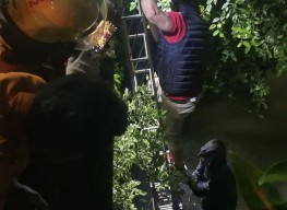 Pelaku Curanmor di Surabaya ini Nekat Nyebur ke Sungai saat Dikejar Polisi