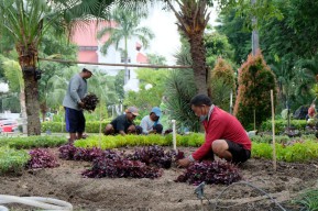 Hore! Taman Surya Bakal Dibuka untuk Umum, Ada Kolam Ikan dan Wifi Gratis lho