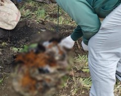 Gali Tanah, Pekerja Konstruksi di Surabaya Temukan Jasad Bayi