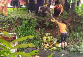 Pengemudi Ngantuk, Motor Roda Tiga Bermuatan Pisang Nyebur ke Sungai