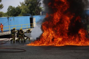 Gelar Pelatihan, PLN NP Tingkatkan Komitmen Keselamatan Kerja