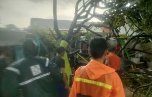 Pohon Tumbang Menimpa Mobil hingga Warung di Surabaya Akibat Hujan Angin