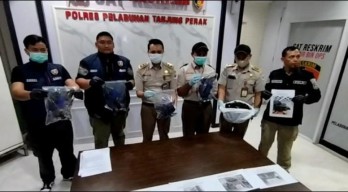 Diduga untuk Ritual Mistis, Puluhan Burung Gagak Diselundupkan di Pelabuhan Tanjung Perak Surabaya