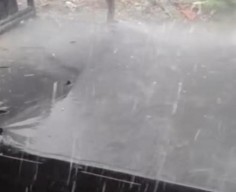 Heboh Surabaya Barat Diguyur Hujan Es Disertai Angin Kencang