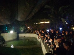 Night Zoo KBS Opening Awal Juni, Segini Harga Tiketnya