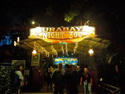 KBS Uji Coba Night Zoo, Wali Kota Eri: Inovasi Out of The Box