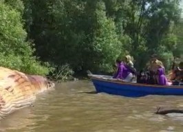 Paus Terdampar di Perairan Surabaya adalah Spesies Balin, Mati karena Sakit