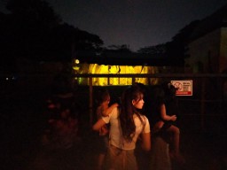 Begini Urutan dan Aturan di Surabaya Night Zoo