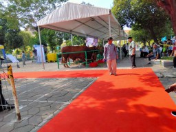 Digelarkan Karpet Merah, Sapi Kurban Pejabat Tiba di Masjid Al Akbar