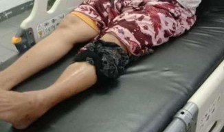 Ular Sanca 4 Meter Teror Warga Semampir Surabaya, Seorang Ibu Digigit