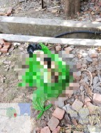 Diduga Potongan Tubuh Manusia Ditemukan di Kawasan Kenpark Surabaya