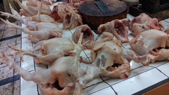 Sejak Idul Fitri hingga Jelang Idul Adha Harga Ayam Potong Naik, Pedagang Mengeluh Sepi