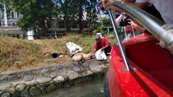 Warga Kepergok Nyuci Rumen di Kalimas, DLH Surabaya: Ini Menganggu Tempat Wisata