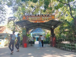 Surabaya Night Zoo Sempat Tak Buka Lantaran Sepi Pengunjung