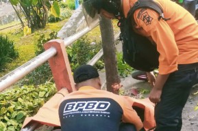 Kecelakaan di Surabaya, Pengendara Motor Tewas Usai Tabrak Pohon