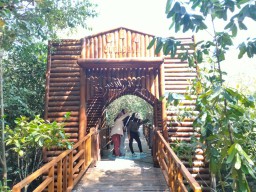 Pertama di Indonesia, Kebun Raya Mangrove Gunung Anyar Surabaya Bakal Diresmikan Megawati