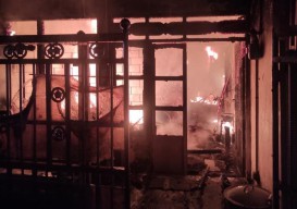 Rumah Ternak Love Bird di Surabaya Terbakar, 11 Unit Damkar Dikerahkan