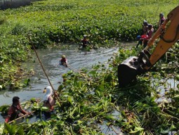 Sungai Tertutup Eceng Gondok, Warga Wiyung ini Pelopori Bersih-bersih