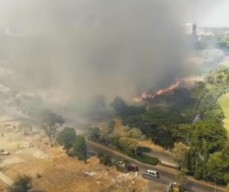 Lahan Alang-alang Seluas 4,5 Hektar di Keputih Surabaya Terbakar