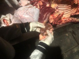 Selundupkan Daging dari Luar Surabaya Tanpa Dokumen, Pedagang ini Diciduk