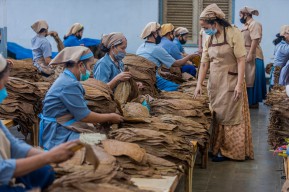 Penjualan PTPN X Meningkat, Hasil Kinerja Transformasi Empat Tahun BUMN