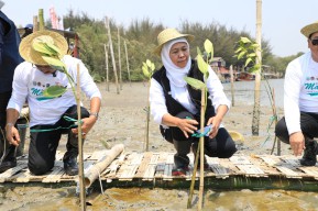 Festival Mangrove Romokalisari, Gubernur Khofifah: Wujud Penguatan Ekosistem Mangrove dari Hulu ke Hilir