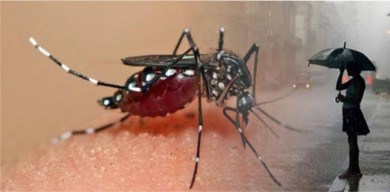 Pemkot Surabaya Peringatkan Warga Waspada DBD Pada Musim Penghujan Mendatang