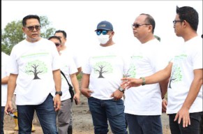 Jaga Garis Ekosistem Pesisir, Pelindo Multi Terminal Tanam 8000 Bibit Mangrove di Kalimantan