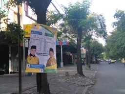 Caleg Surabaya Pasang APK di Pohon, Begini Respon Pengamat