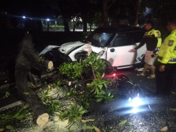 Mini Cooper Tabrak Pengendara Motor di Surabaya, Satu Pohon Ambruk dan Satu Orang Dilarikan ke RS