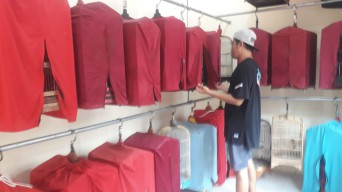 Wow! Ada Sekolah Burung di Surabaya, Simak Artikel ini