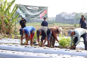 Antisipasi Inflasi, Pemkot Surabaya Tanam 1 Juta Bibit Cabai