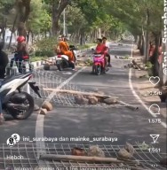 Ini Alasan PKL Kenjeran Watu-watu Menolak Ditertibkan