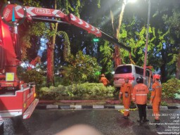 Minibus Tabrak Motor dan Becak hingga Terperosok ke Taman, Sopir Kabur